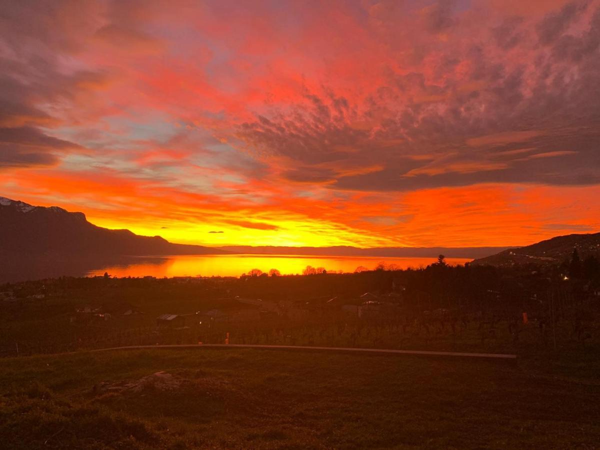 Rose Lake View Apartment Montreux Exteriér fotografie